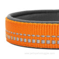 Adjustble Nylon Dog Collars Custom Training Dog Collar